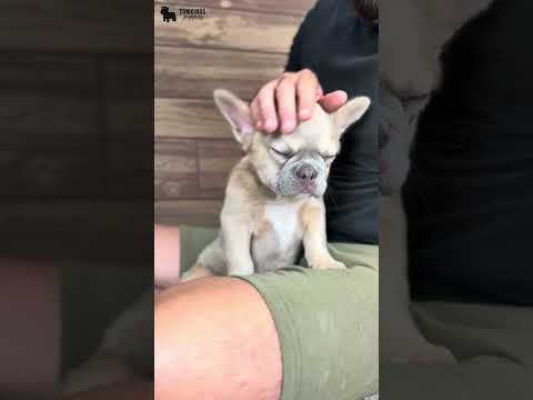 Video 3