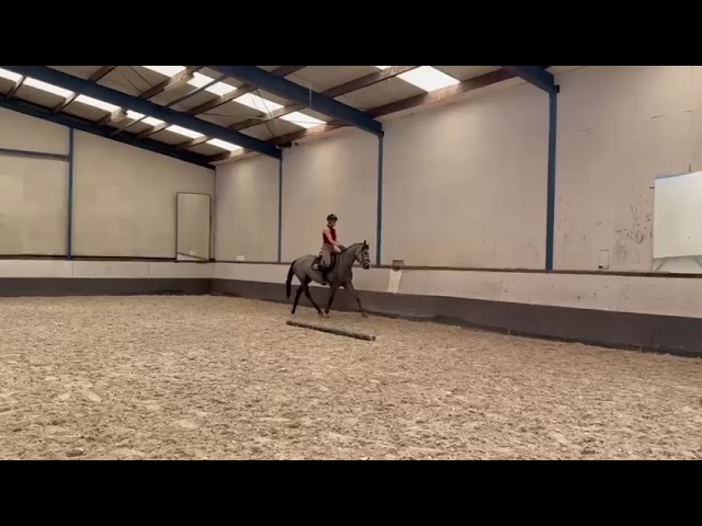 Riding movie at home Chac my Quality DH Z (Chacfly x Quality Time TN).