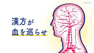 メグリビ　「W改善」篇Ｄ（MEG-013）