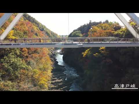 高津戸峡｜紅葉