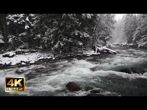 Snowy Forest River in Winter | 10h Winter Ambience for Deep Calm & Focus