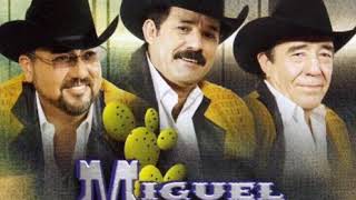 Miguel y Miguel- La vida sigue igual