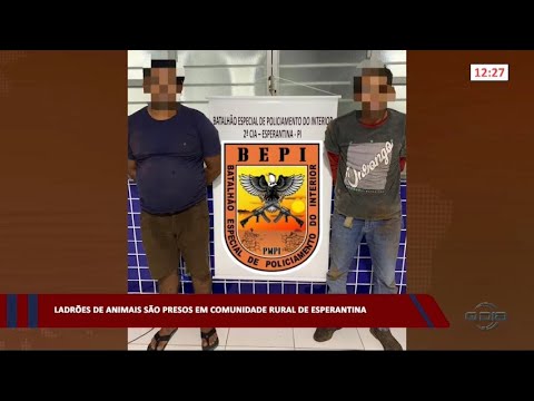 Ladrões de animais são presos em comunidade rural de Esperantina 26 01 2023