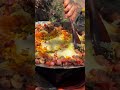 FIZ O MELHOR ARROZ CARRETEIRO DA MINHA VIDA EM UMA CACHOEIRA