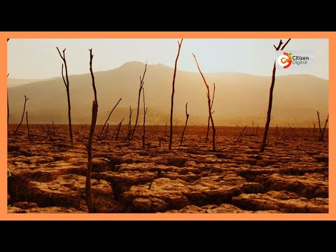 Makali ya ukame Mandera