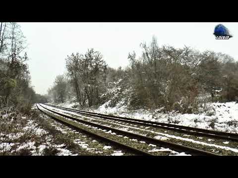 horns show de goarne by jimmy 64-1363-2