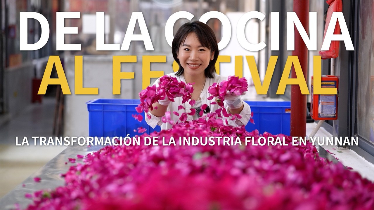 De la cocina al festival: la transformación de la industria floral en Yunnan