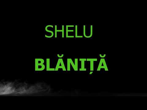 Shelu - BLĂNIȚĂ (Lyric Video)