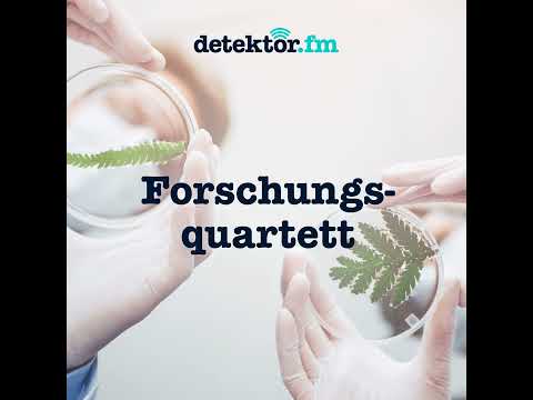Forschungsquartett | Lachen in der Beziehung - Was sich liebt, das neckt sich