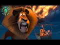 The Lemurs Bring Down The Balloon Merry Madagascar