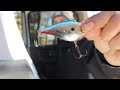 Video Thumbnail for my favourite lure for pike (Episode 1)