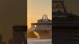 P&O Ventura 🛳️ #travel #subscribe #comment #cruise #vacation #shortvideo #shortsvideo #shorts #yt
