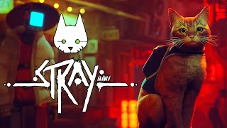 🎮 Bonus Game: Stray (2022) Full Game Longplay