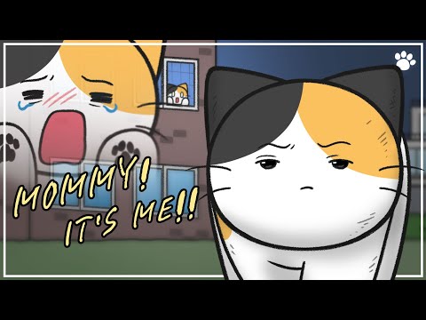 猫の記憶力は？ (How Good Is A Cat’s Memory?)