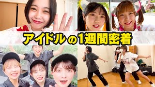 現役アイドルの１週間に密着したら多忙すぎた！【KissBee】