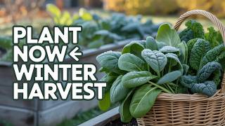 What Happens When You Plant THESE Greens in September?