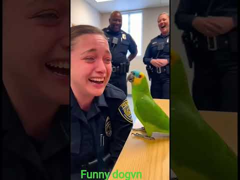my parrot refuses to talk with the police!🧑‍✈️,#police #funny #birds #pets #youtubeshorts #youtube
