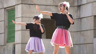 発展途上のご当地アイドル