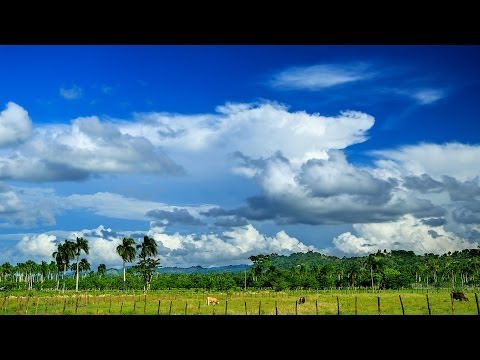 Un Momento De Belleza Natural...