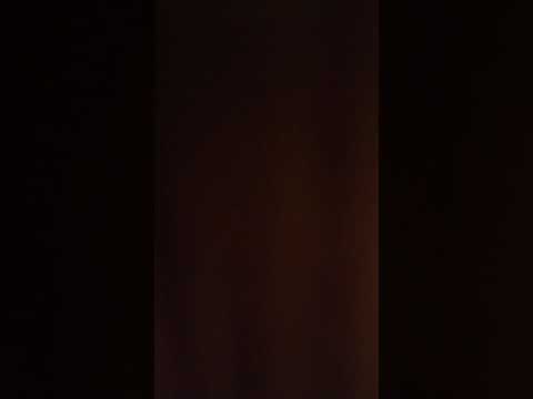 The aristocats part 4