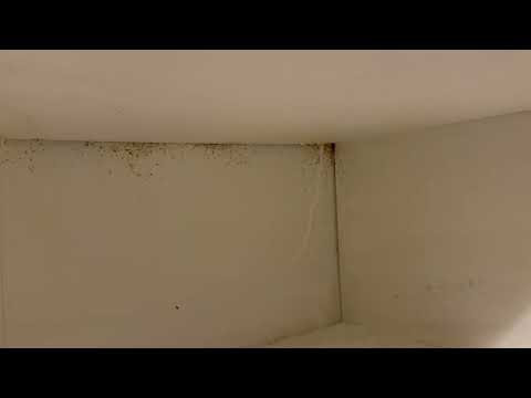Cockroaches Crawl Throughout the Kitchen & Pantries in Bayville, NJ