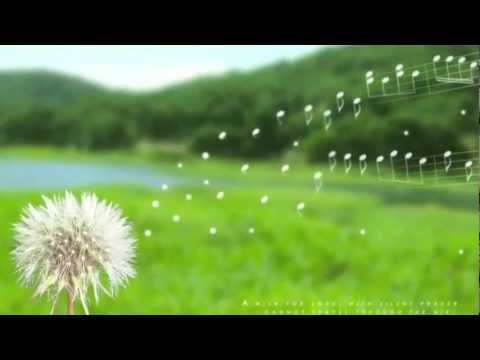 Apni marzi se kahan apne safar ke hum hain (Jagjit Singh)