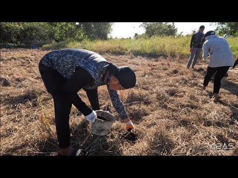 EP808-P1 - Patanim ng Pakwan at Melon | Occ. Mindoro