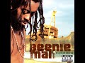 Feel it Boy - Beenie Man ft Janet Jackson