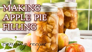 How to Can Apple Pie Filling (A Fall Preserving Idea)