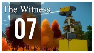 The Witness Gameplay - Part 7 - Revisit (PS4 Let's Play)
