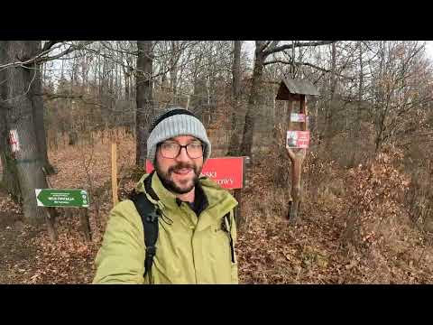 Podróże małe i duże - Lokalne lasy, Książ stary i nowy, leśna ascendencja