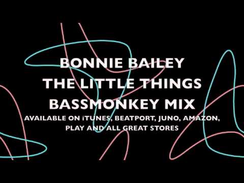 Bonnie Bailey - The Little Things - Bassomonkyes Remix