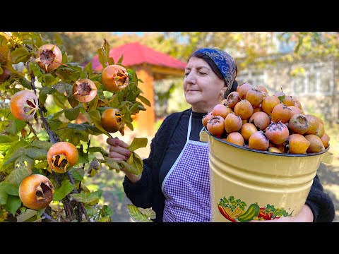 Grandma Harvested Fresh Medlars and Made Pickled for the Winter. Keep it for 1 Year
