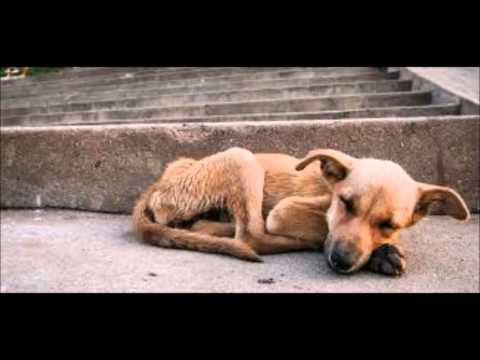 EXISTENCH - HOMELESS