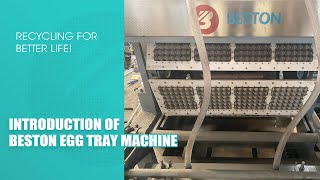 Overview of Beston Egg Tray Making Machine Video