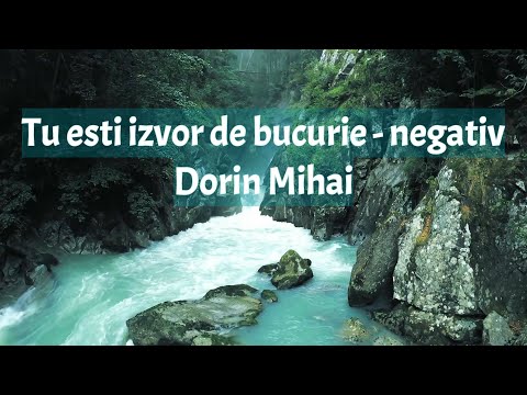 Tu esti izvor de bucurie - negativ - Dorin Mihai
