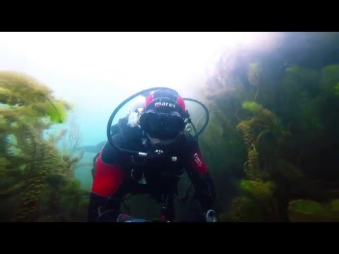 HUNGARY - TATA - 13.2.2016 - TRAILER