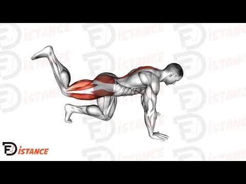 Exercice Cercles de hanche à genoux (échauffement)