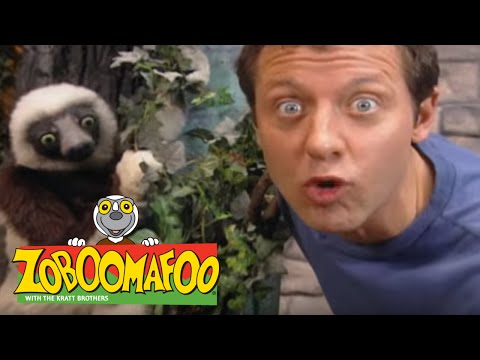 Zoboomafoo 209 - H2O (Full Episode)