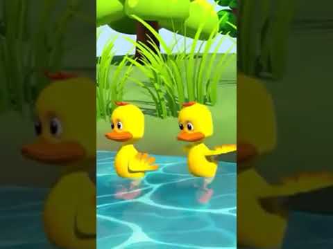 Con vịt cạp cạp || RICH CUTE vlogs