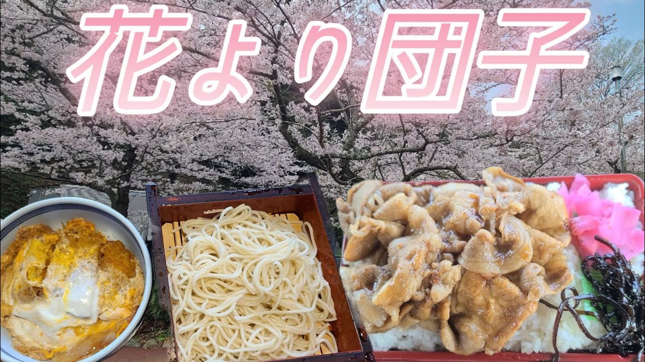 【千葉県茂原市 砂場】花見より結局こうなる!かつ丼蕎麦焼肉弁当