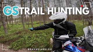 Trail Hunting with Two BMW R 1300 GS Beasts!