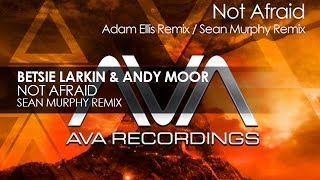 Betsie Larkin & Andy Moor - Not Afraid (Sean Murphy Remix)