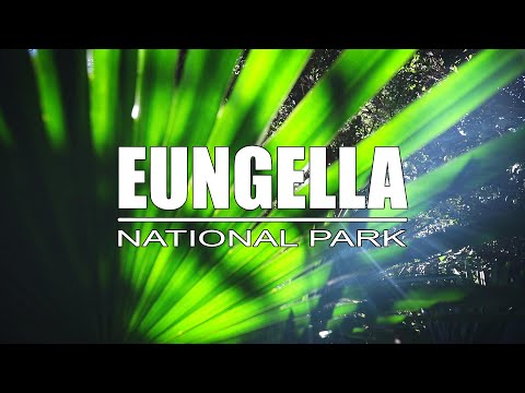 EUNGELLA NATIONAL PARK - DAY TRIP FROM MACKAY - EXPLORING MACKAY REGION