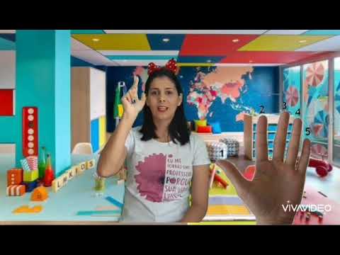 corpo humano, membros superiores e membros inferiores.