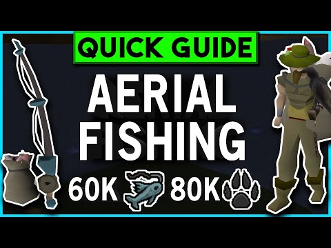 OSRS Aerial Fishing Guide - 60K + 80K Fish/Hunter XP/H! - Quick Guide [2022]
