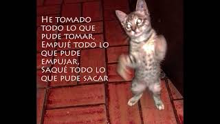 Cap&#39;n Jazz - Little League (SUB ESPAÑOL)