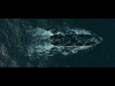 Patria NEMO, protecting the sea lines of communication - also inside the archipelago