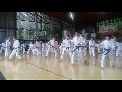 Gasshuku sensei Inoue Colombia abril 2018 - JKA Avanzados