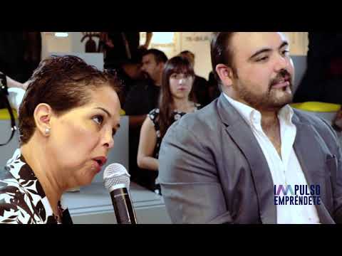 Impulso Empréndete - Resumen de Pitches 1